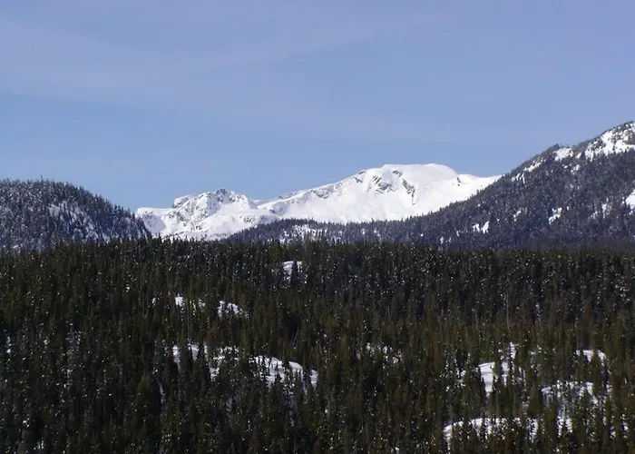 Basecamp Strathcona Park View Chalet