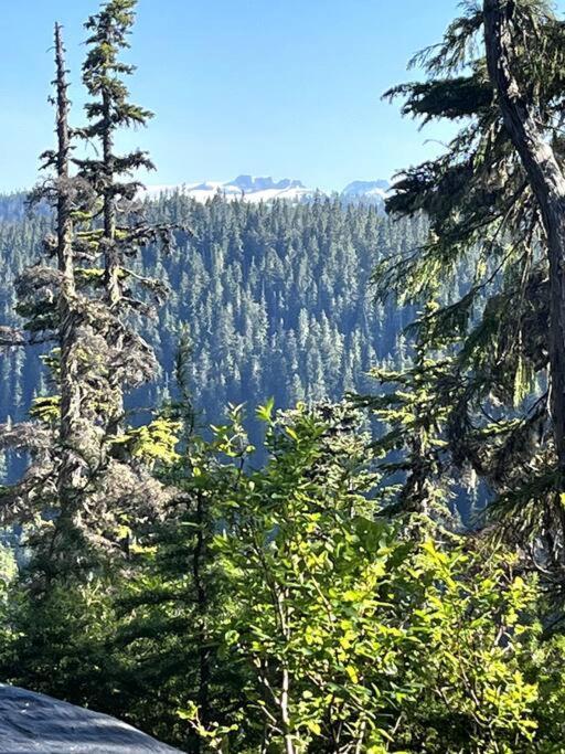 Basecamp Strathcona Park View *