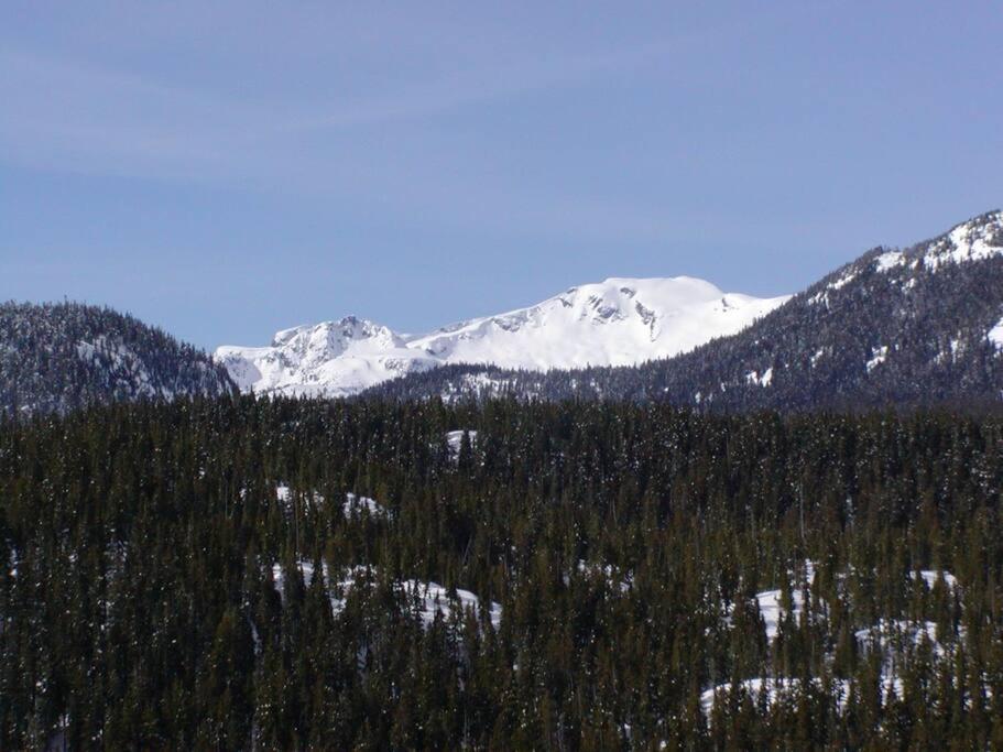 Basecamp Strathcona Park View Chalet Mount Washington